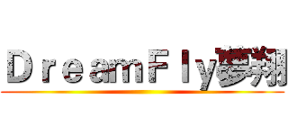 ＤｒｅａｍＦｌｙ夢翔 ()
