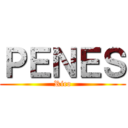 ＰＥＮＥＳ (Rico)