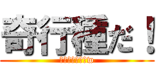 奇行種だ！ (お前らは奇行種w)