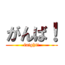 がんば！ (faight!)