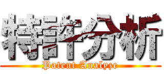 特許分析 (Patent Analyze)