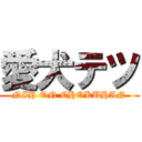 愛犬テツ (NIH ON CHOKUHAN)