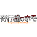 奇行種のホモ (Eregular of HORIKEN)