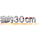 我的３０ｃｍ  (attack on titan)