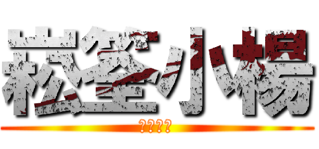 崧筌小楊 (崧筌電腦)