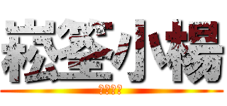 崧筌小楊 (崧筌電腦)