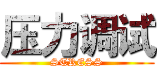 压力调试 (STRESS)