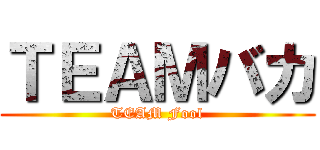 ＴＥＡＭバカ (TEAM Fool)