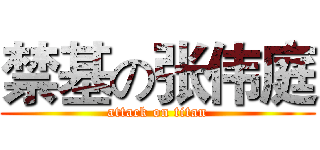 禁基の张伟庭 (attack on titan)
