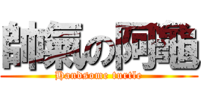 帥氣の阿龜 (Handsome turtle)