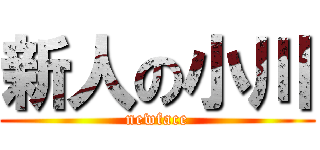 新人の小川 (newface)