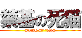 禁基の死猫 (attack on titan)