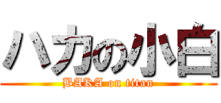 ハカの小白 (BAKA on titan)