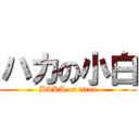 ハカの小白 (BAKA on titan)