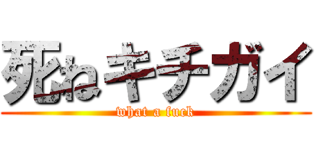 死ねキチガイ (what a fuck)