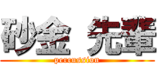 砂金 先輩 (percussion)