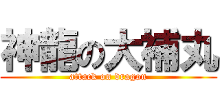神龍の大補丸 (attack on dragon)