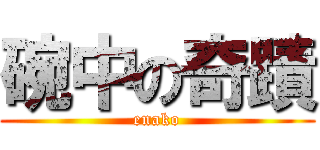 碗中の奇蹟 (enako)