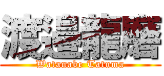 渡邉龍磨 (Watanabe Tatuma)