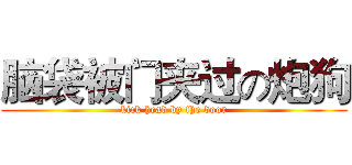 脑袋被门夹过の炮狗 (kick head by the door)