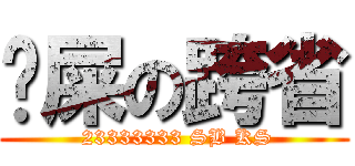 吔屎の跨省 ( 23333333 SB KS)