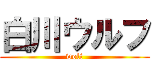 白川ウルフ (wolf)