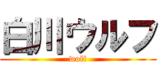 白川ウルフ (wolf)