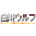 白川ウルフ (wolf)