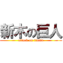 新木の巨人 (attack on tintin)