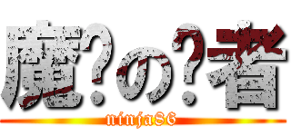 魔导の贤者 (ninja86)