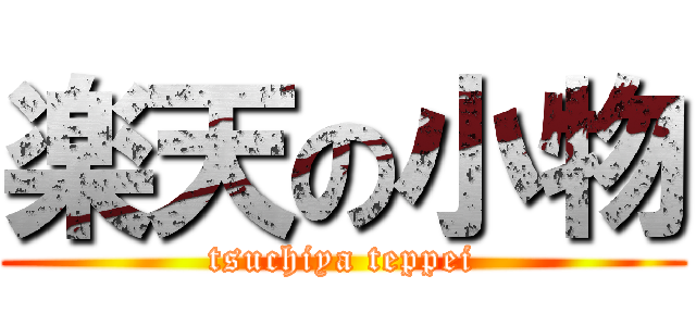 楽天の小物 (tsuchiya teppei)