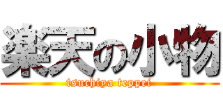 楽天の小物 (tsuchiya teppei)