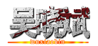 吴晓斌 (wuxiaobin)