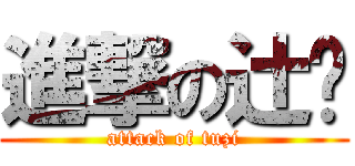 進撃の辻󠄀 (attack of tuzi)