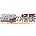 進擊の杨侨 (YangQiao high school)