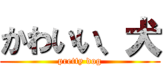 かわいい、犬 (pretty dog)