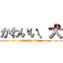 かわいい、犬 (pretty dog)