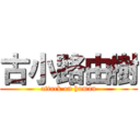 古小路由樹 (attack on human)