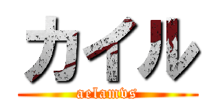 カイル (aelamvs)