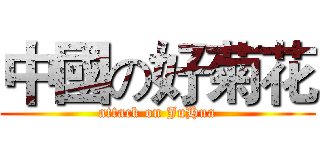 中國の好菊花 (attack on JuHua)