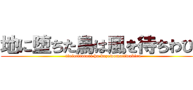 地に堕ちた鳥は風を待ちわびる (tiniotitatori ha kazewomatiwabiru)