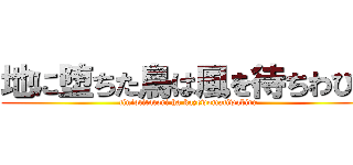 地に堕ちた鳥は風を待ちわびる (tiniotitatori ha kazewomatiwabiru)