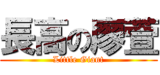 長高の廖萱 (Little Giant)