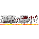 進撃の葉小喵 (attack on titan)