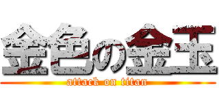 金色の金玉 (attack on titan)