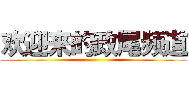 欢迎来的政尾频道 ()