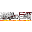 進撃の巨萌 (attack on Deborah)