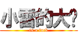 小雷的大屌 (is a fuck)