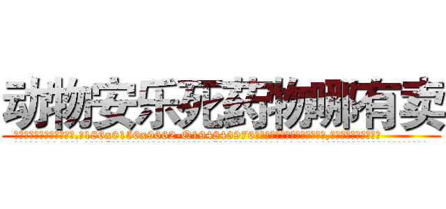 动物安乐死药物哪有卖 (动物安乐死药物哪有卖【电.话186x0156x9662-Q194843976林氏药业】我们做的是长期生意,靠的是老客户长期支持
参考消息网2月20日报道 韩媒称，“剩女多、离婚率高的城市，房价一定会上涨。”这是中国经济学家金岩石2016年12月参加在上海举行的房地产相关论坛时说的话。
)