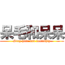 呆毛和呆呆 (Stay hair and foolishly)